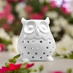 Brûle-Parfum Hibou en Céramique – Diffuseur Élégant pour Cires et Huiles Essentielles - Les Senteurs de Lilie