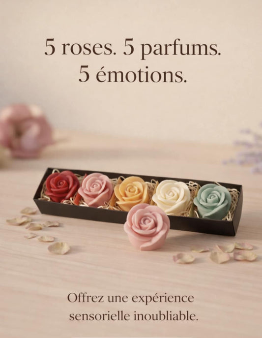 Coffret 5 Roses Fondants Parfumés – Cire Naturelle & Parfums de Grasse – Idée Cadeau Fête des Mères